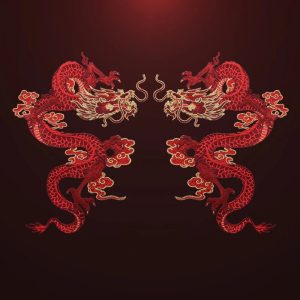 AHYONNIEX High-Quality Large Dragon Patches – DIY Embroidered Sew-On Fabric Stickers for Clothes